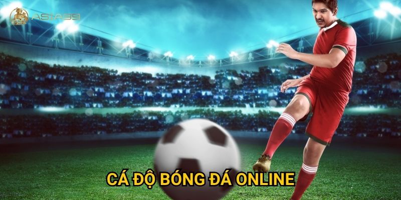 Cá độ bóng đá online Asia99 có thực sự đáng tin và dễ thắng?