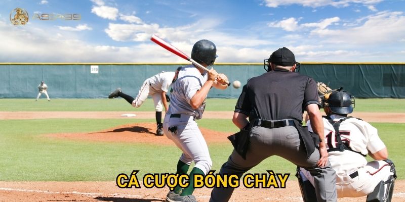 Cá cược bóng chày Asia99 có hấp dẫn như tại Mỹ và Nhật Bản?