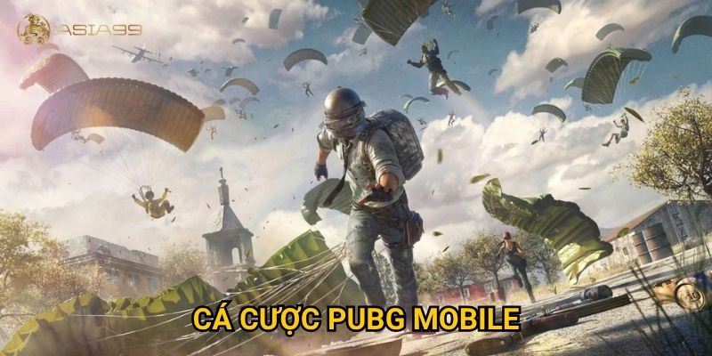 Cá cược PUBG Mobile Asia99 có thật sự kịch tính như trận đấu thật?