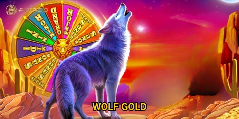 Wolf Gold Asia99 có mang lại jackpot khủng như quảng cáo?